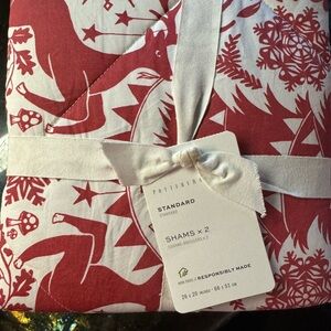 Pottery Barn Nordic Holiday Shams (2)